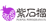 西安紫石榴文化传媒有限公司